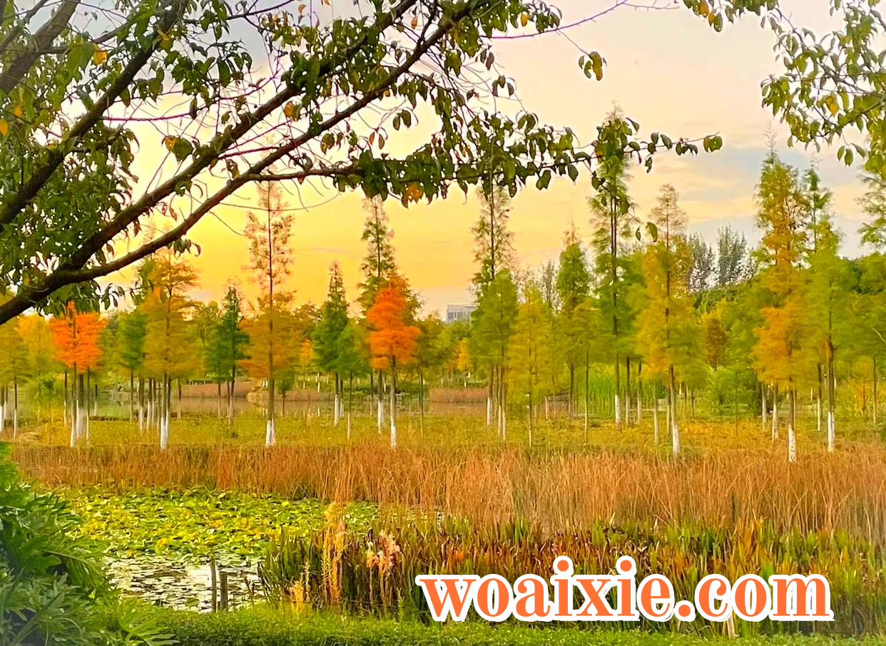 1b4c510fd9f9d72a60de0857826de43a359bbb93