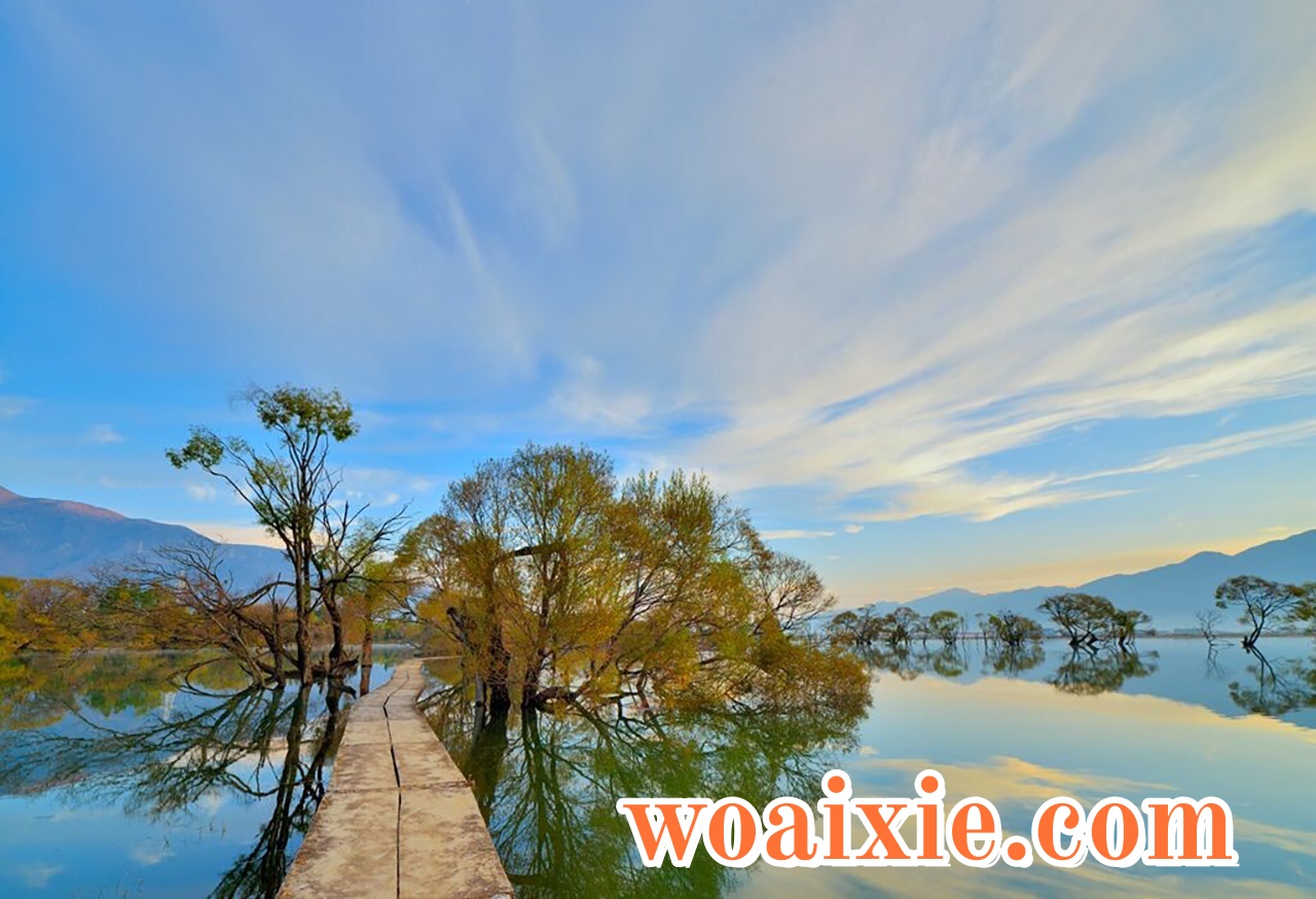 1c4608a5-1313-491a-9cfd-591a98c60238