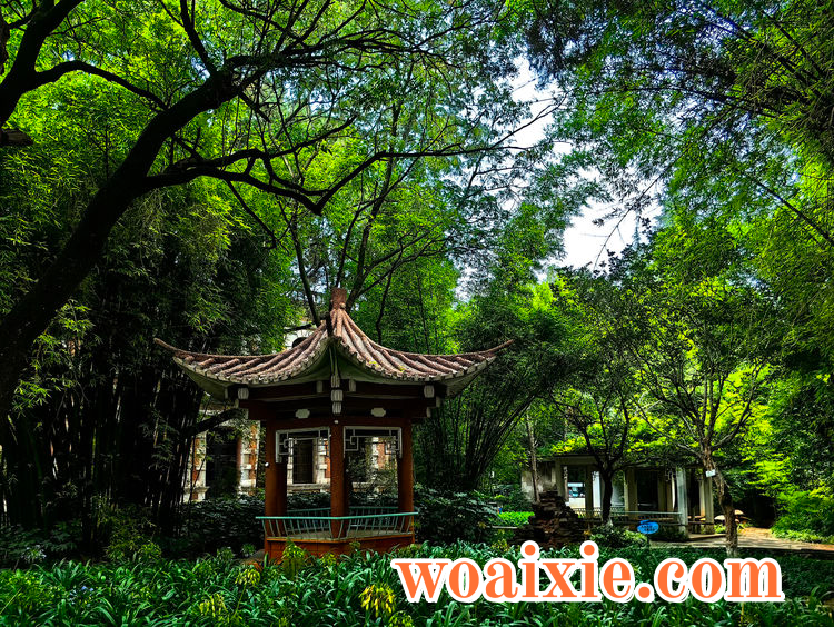 1c4c71e0-7412-11ef-b83a-e9b69f7a96c8