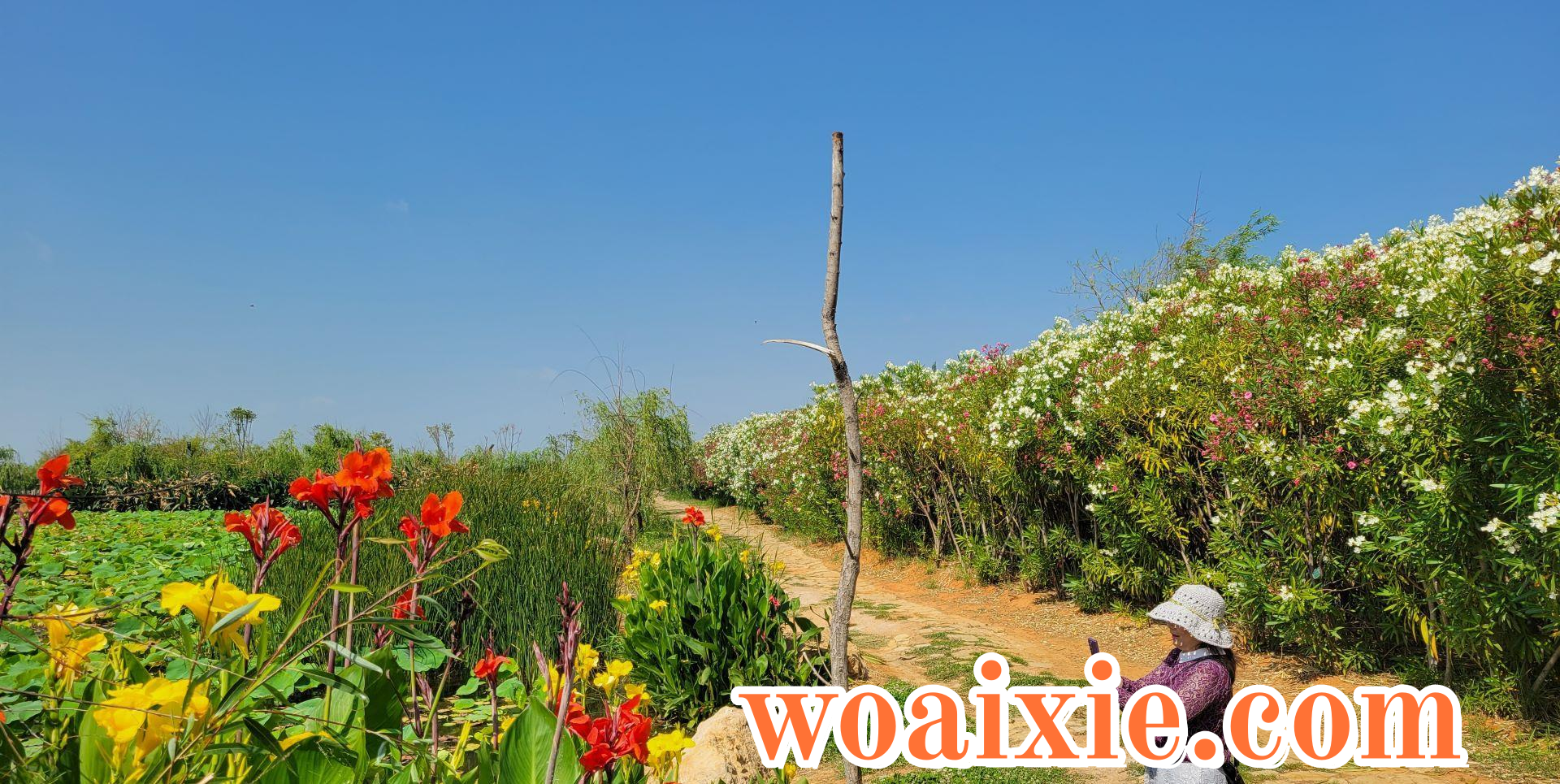 1c4d12745f6b48a282cab825c9c08705