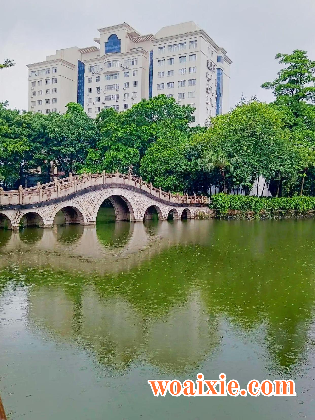 1c950a7b02087bf470dbb13f1840bb2310dfcf51