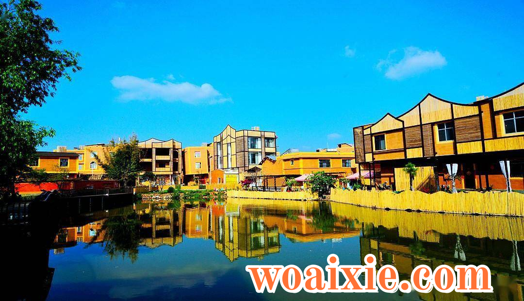 1c96cbb5a95040e59b0dcef9b48721e9