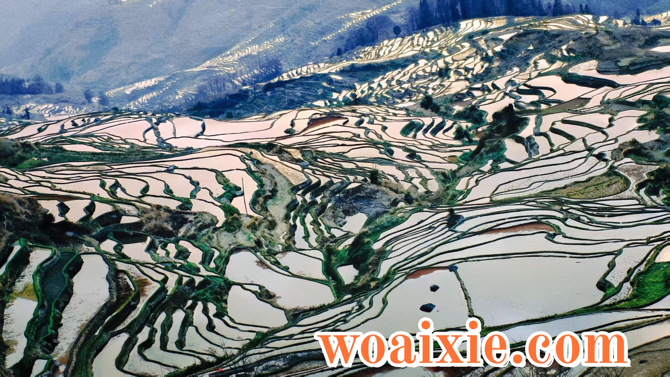 1d5df122-6f26-4203-8935-94f6c443f724