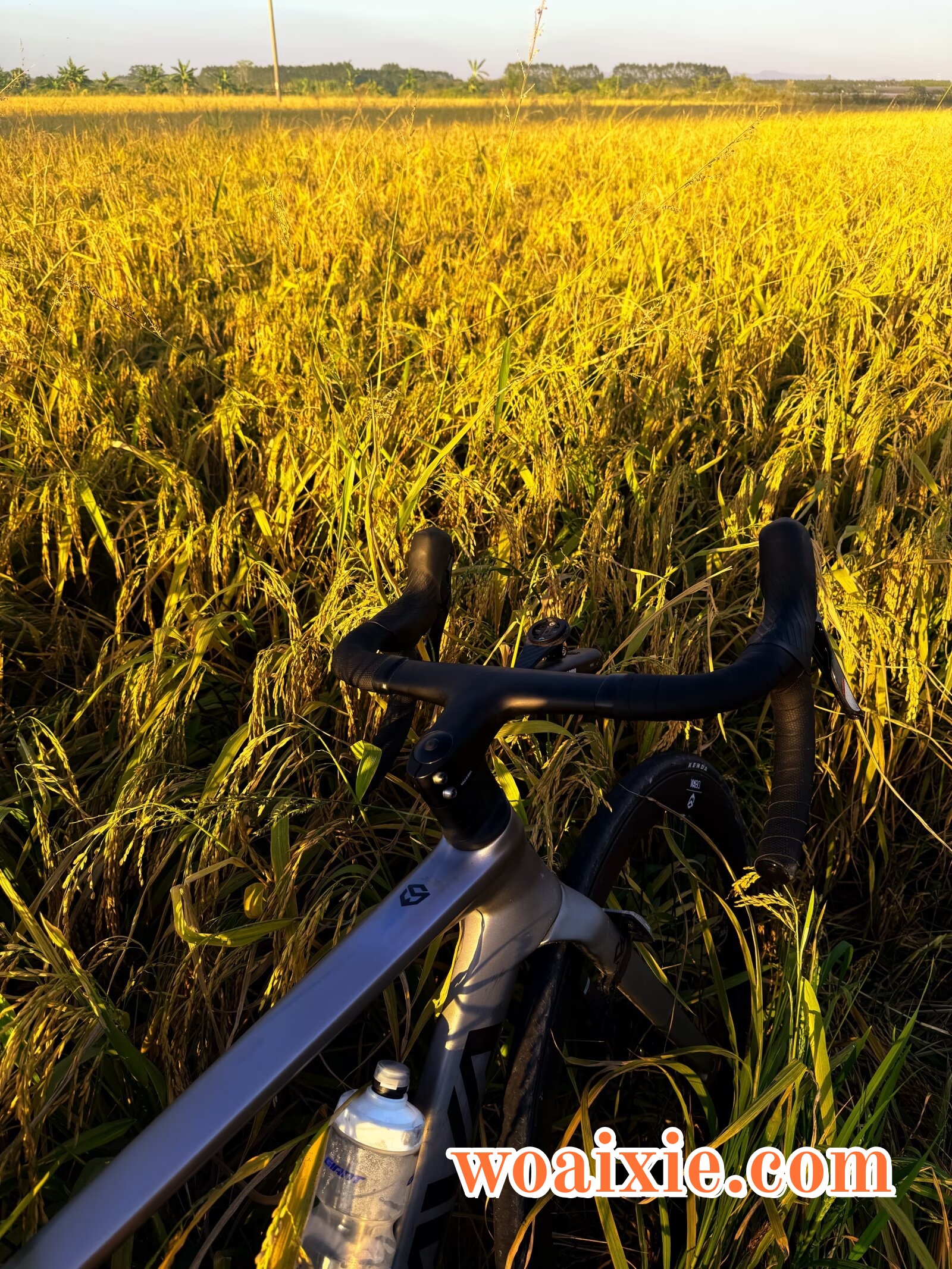 1fd68133-1ea1-48be-bcf1-fbf93998bb9a