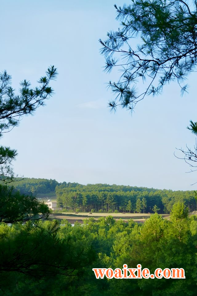 1mi4e12000ecehj5w911A_W_640_0_R5_Q80