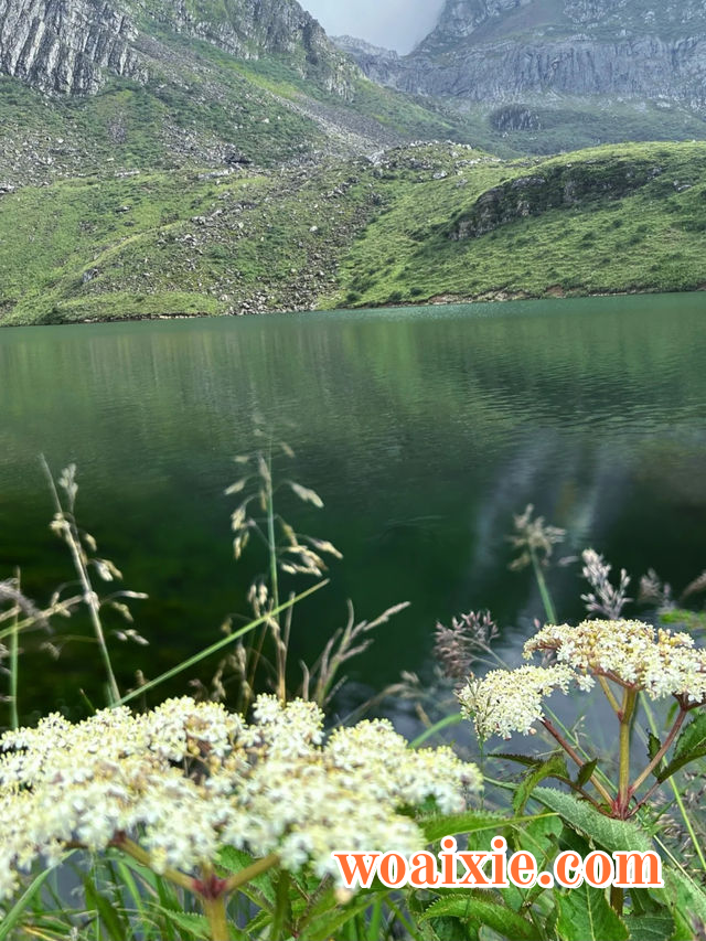 1mi5s12000f0h7ljn6930_W_640_0_R5_Q80