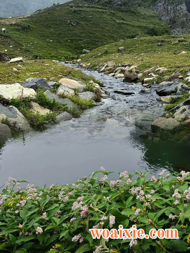 1mi5w12000f0h79h8A5FF_W_640_0_R5_Q80