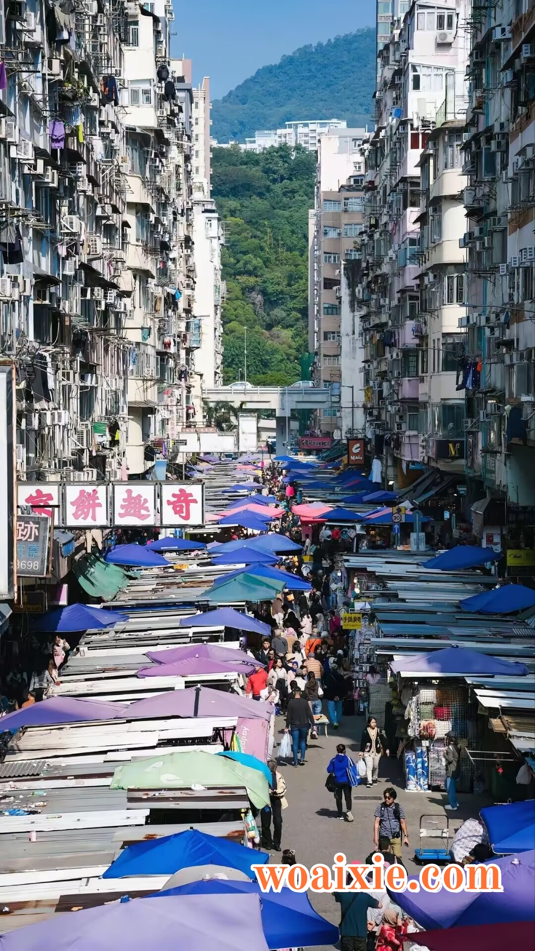 2CE23A9F4811BBD6DDB675BAC742B666