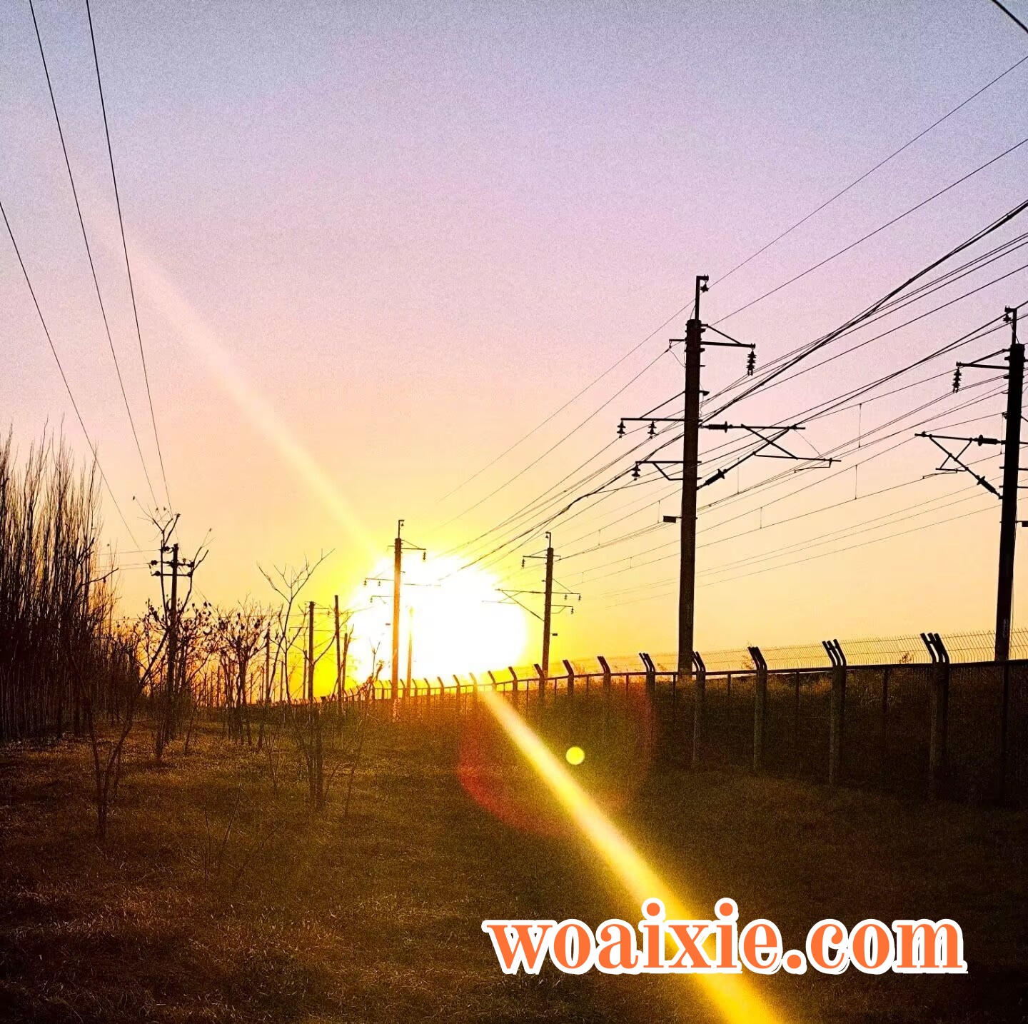 2D7FD40AA839F90C6A0E324EE90C6137