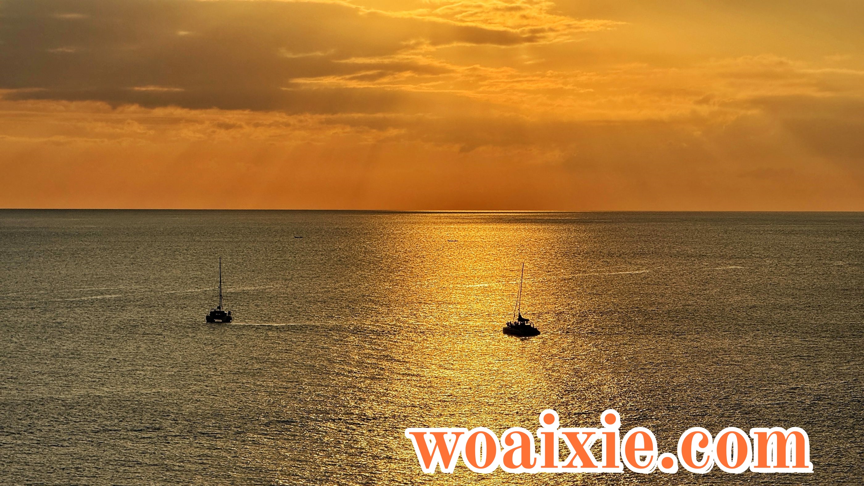 2E07C5F8337AE6ED5DBCAFA2F402F3B6