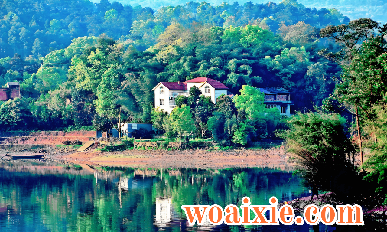 2E346DC29993DA2B443C1F751E381FA6