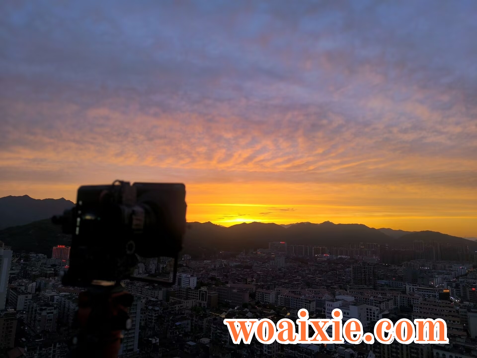 2F78DBA6BFFED94579559FDC84515033