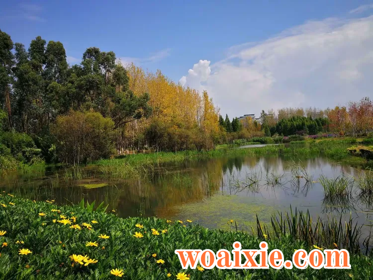 2a3b3bc7145f72cd04a3713c70ed0a66__jpg.heic~tplv-s1ctq42ewb-s2-cC-q_750_0_0_0_q80