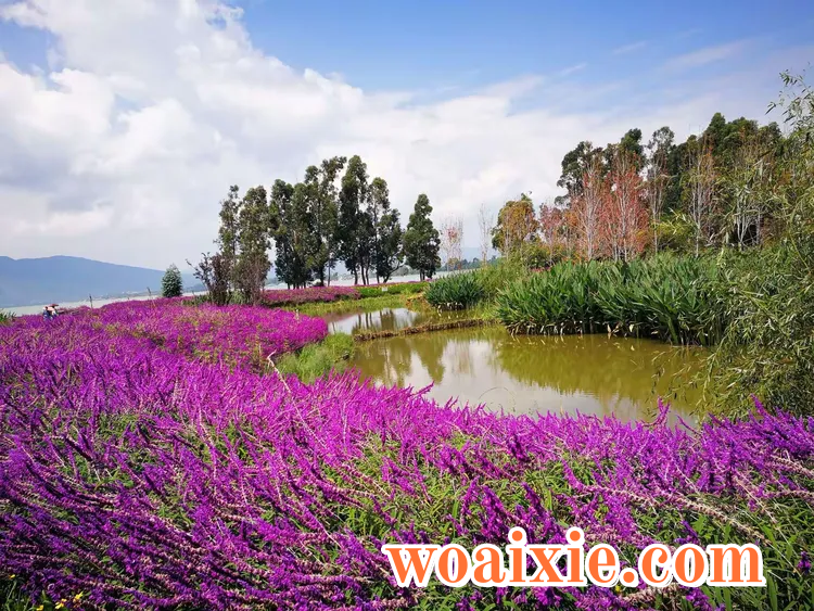 2c94f90fd3ff1879877cb9216b1006d2__jpg.heic~tplv-s1ctq42ewb-s2-cC-q_750_0_0_0_q80