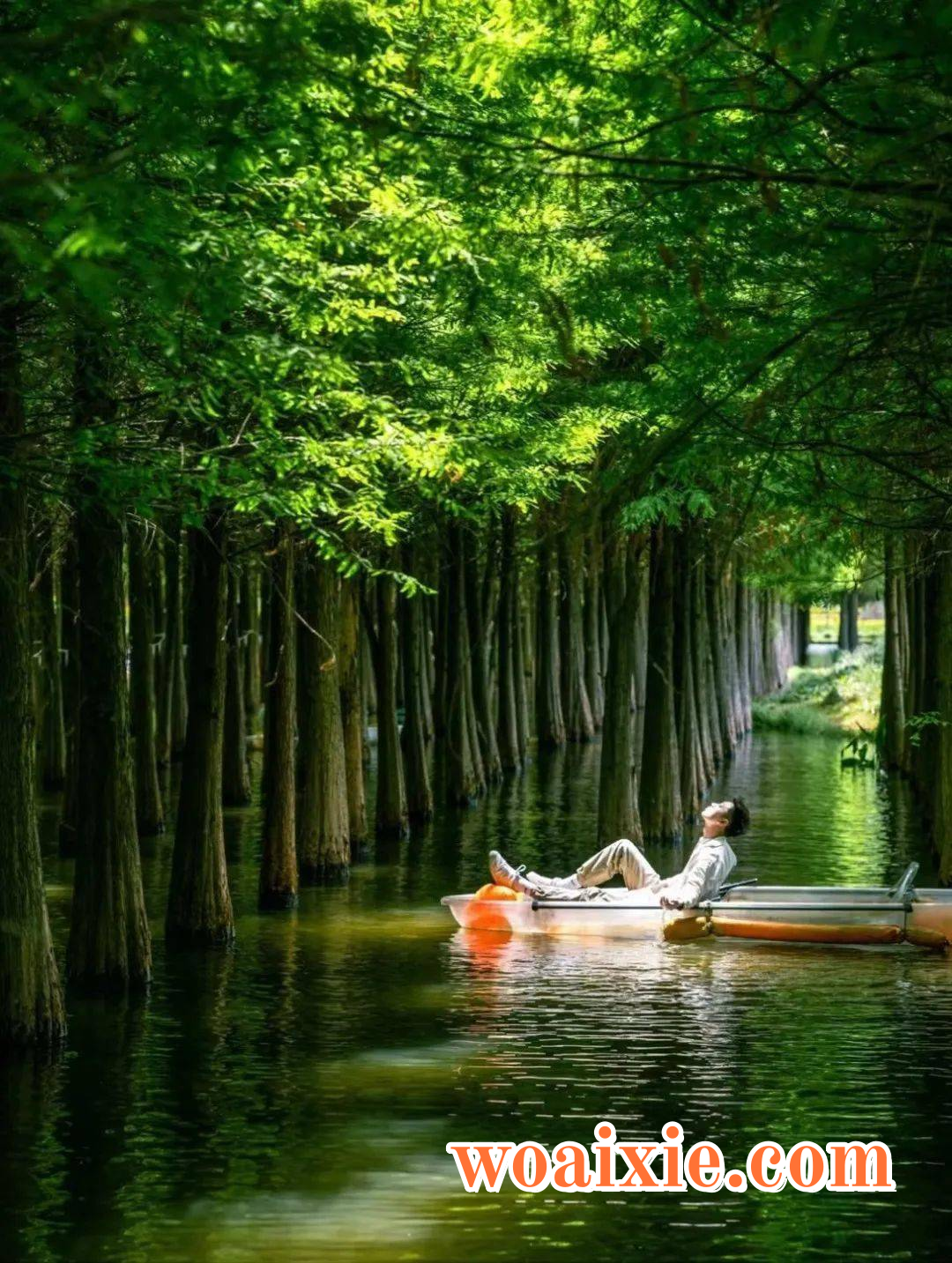 2d6d31cf086d4fd8b82b9fd4909cec97