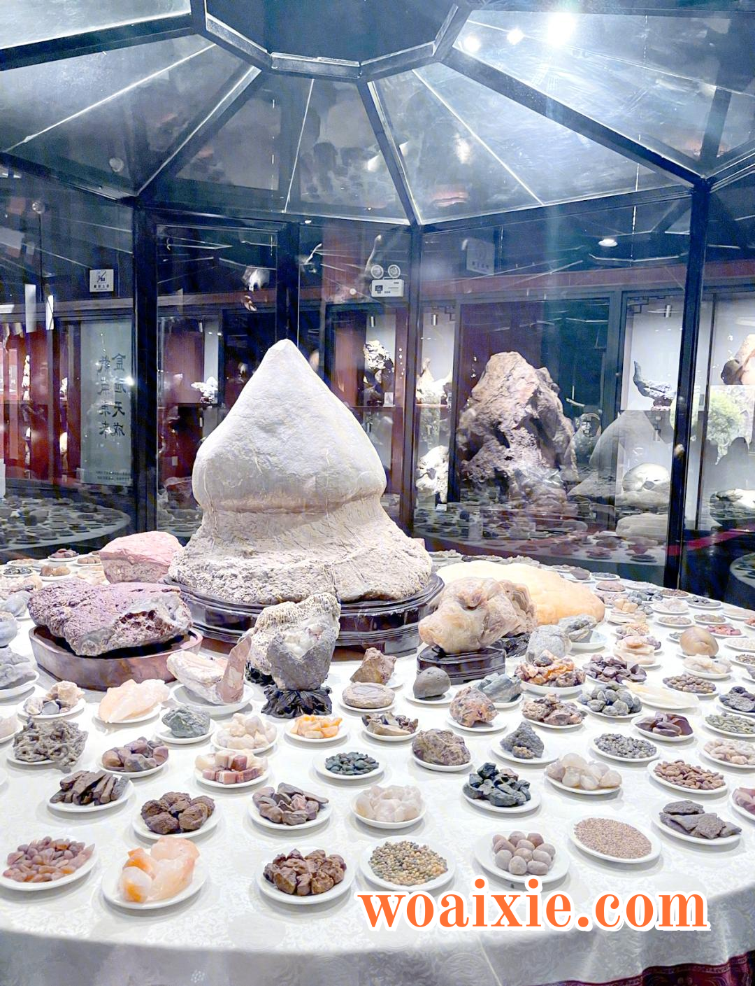 2e2eb9389b504fc2c9031e402cbbe21e91ef6d88