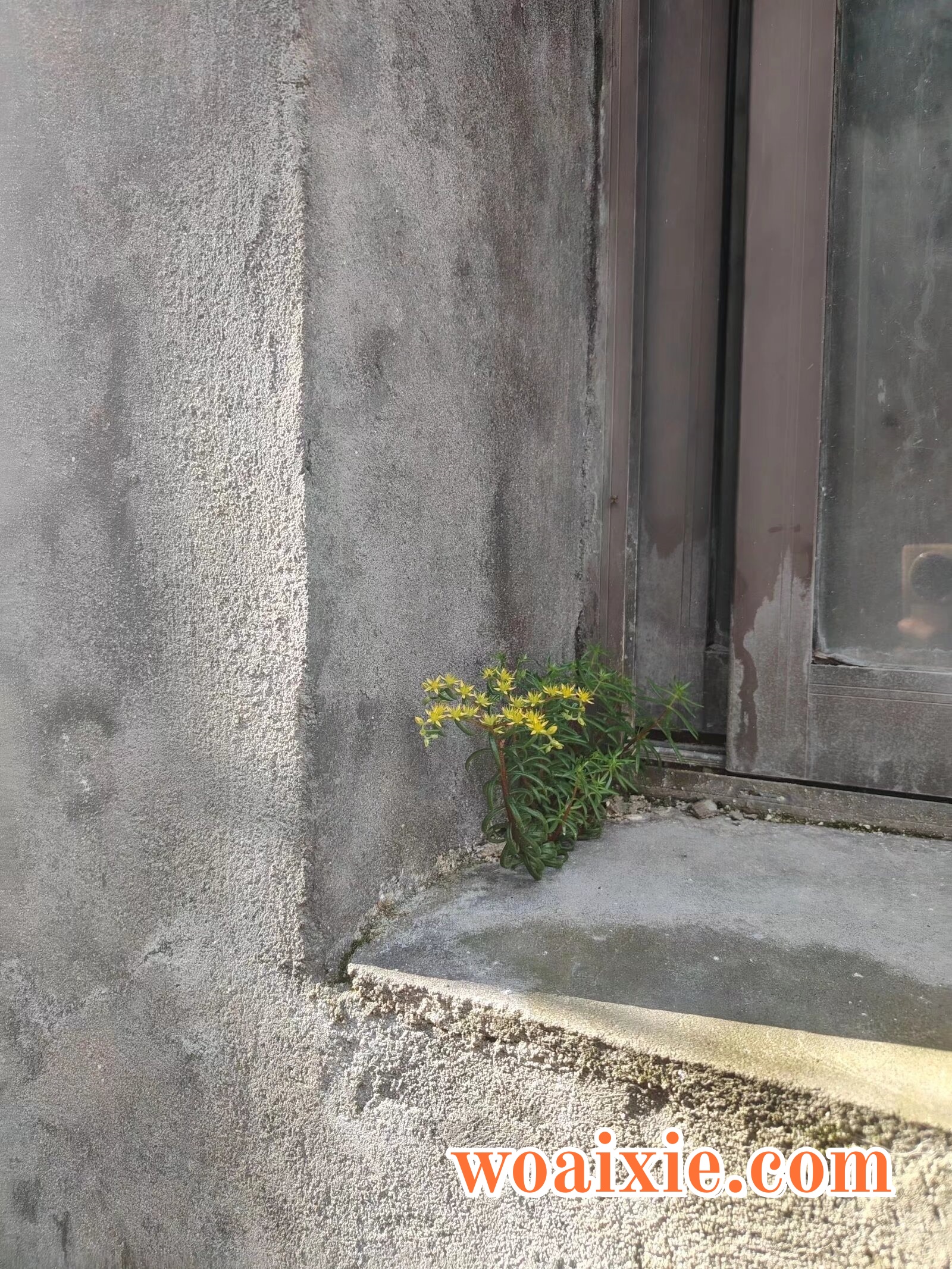 2e7801485b997e87379afd98273a0336