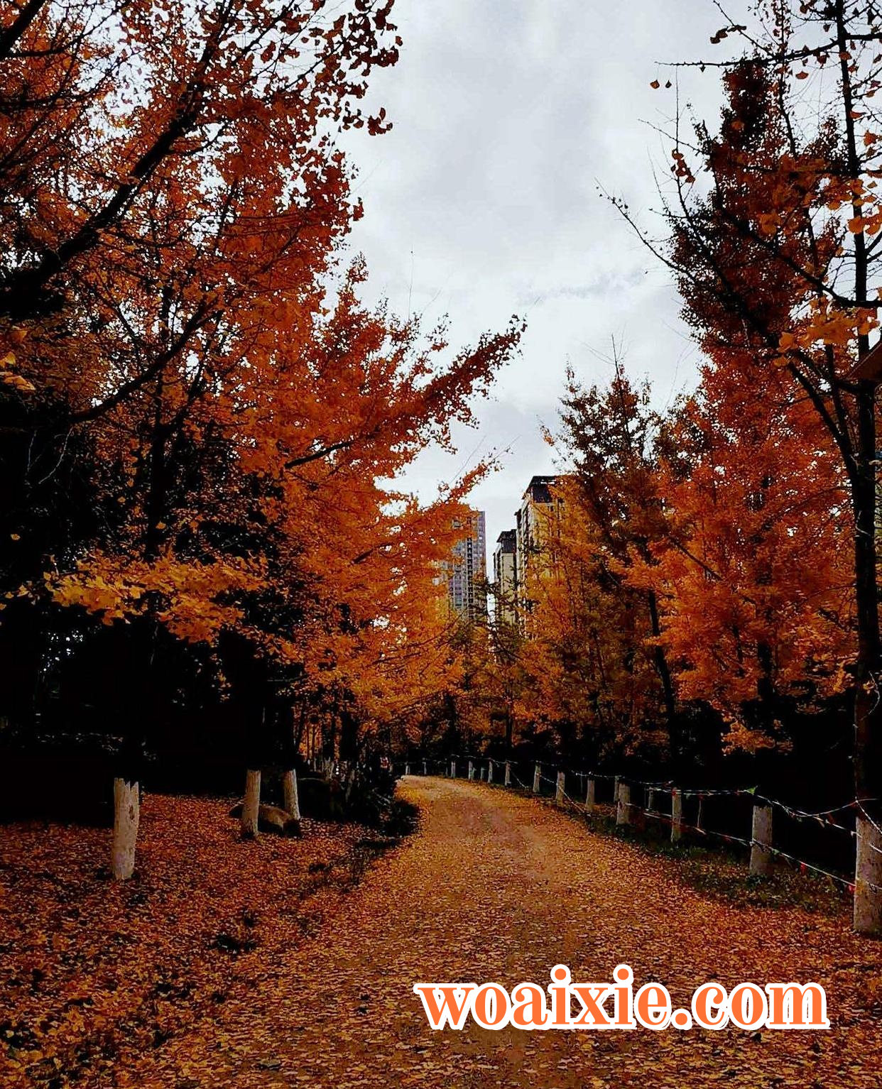 2fdda3cc7cd98d1018970dff85e9311e79ec90a7