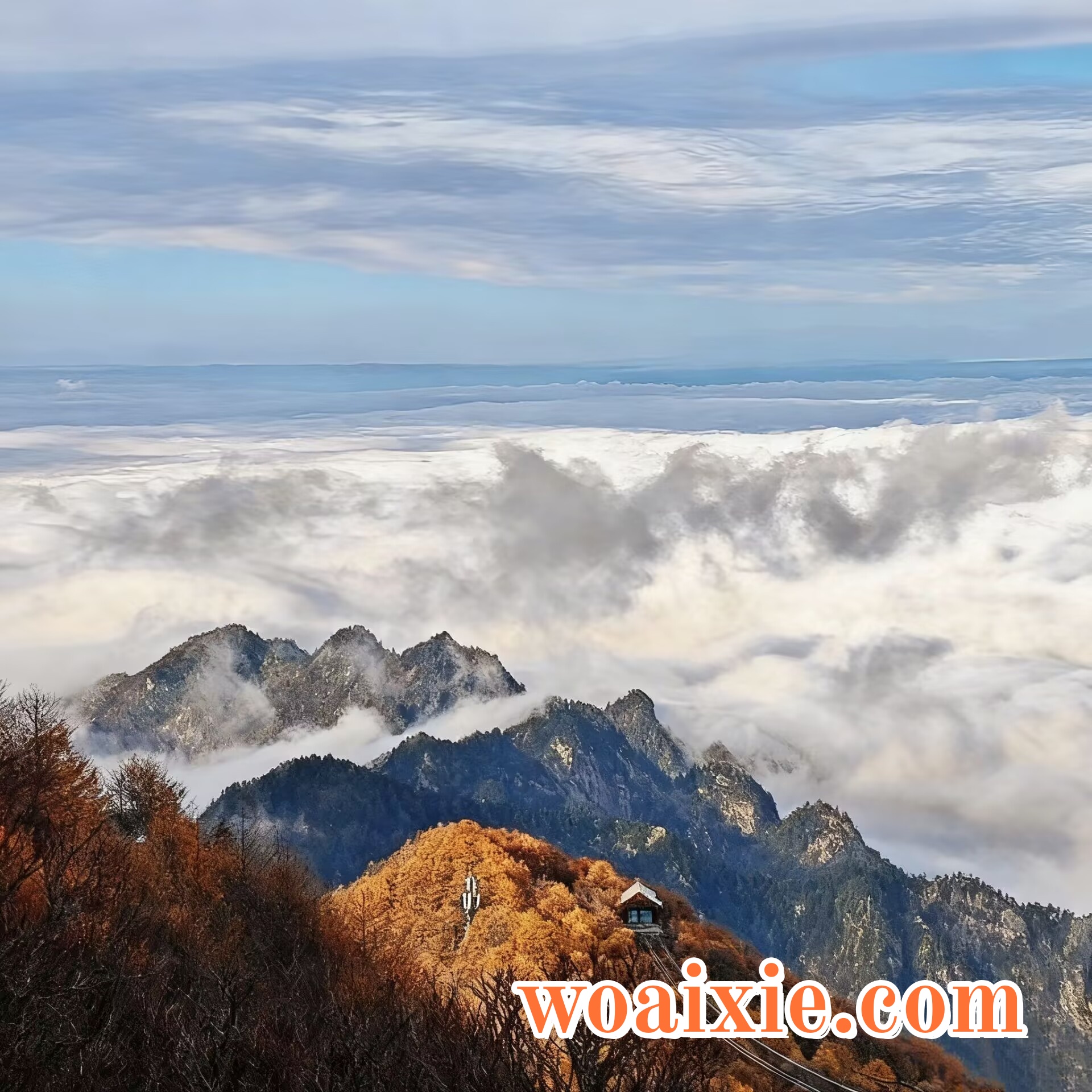 3A9360F28758FE87564A7CCD87A35B94