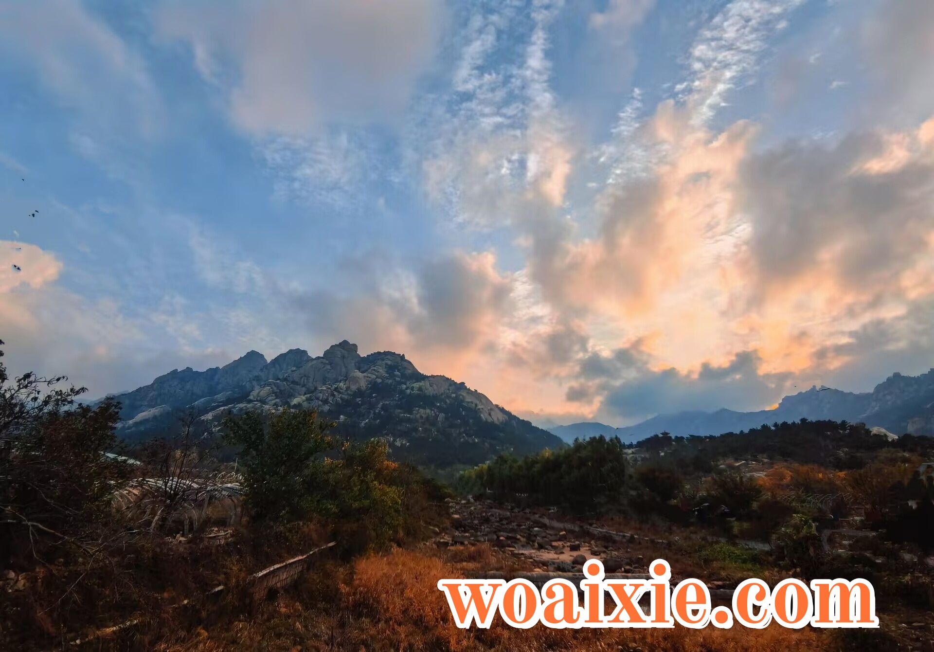 3CBDE43843F2C285332943F97C2499DA