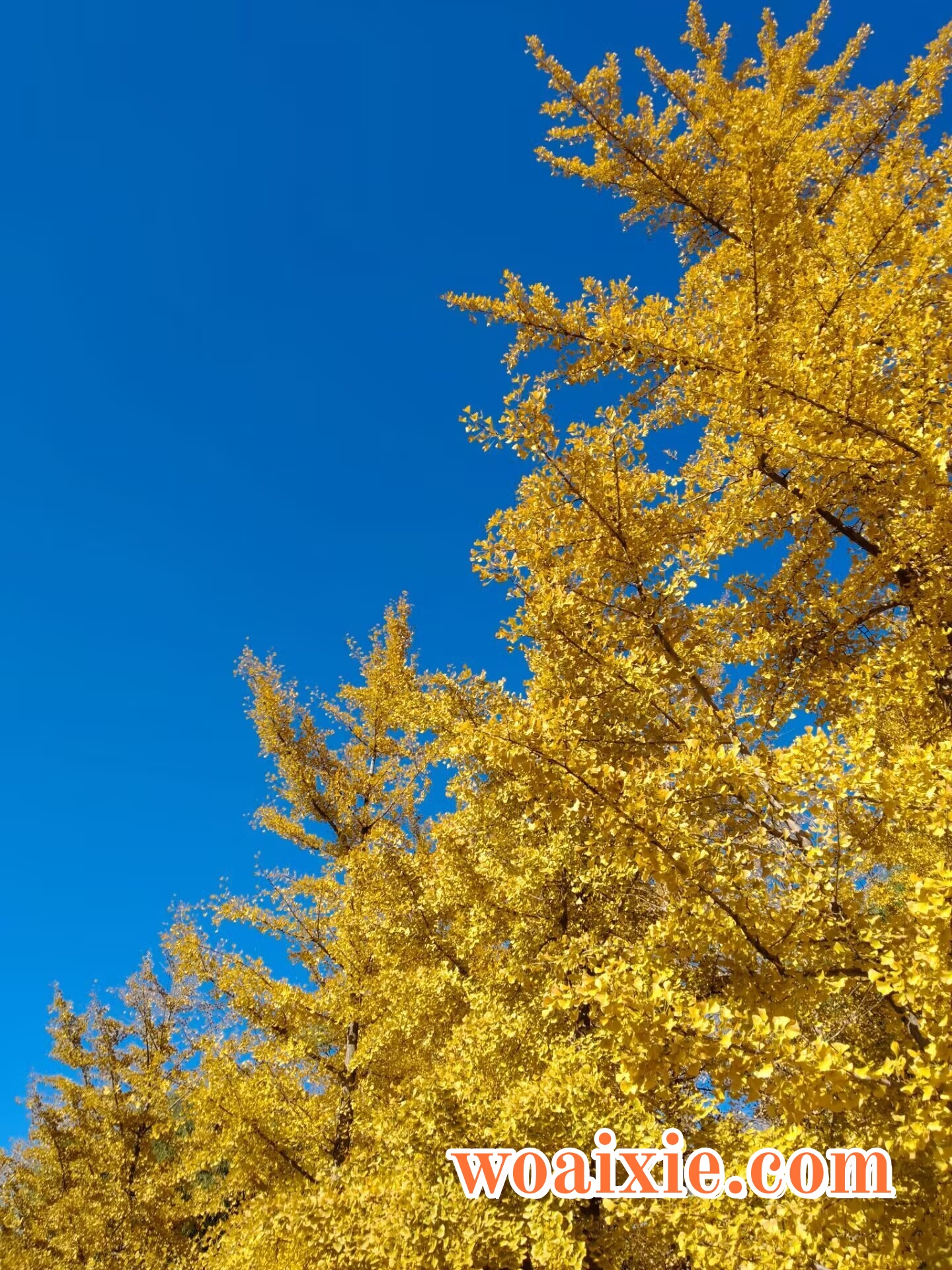 3CEE363940DB9A06C91DFC02C7FDC073