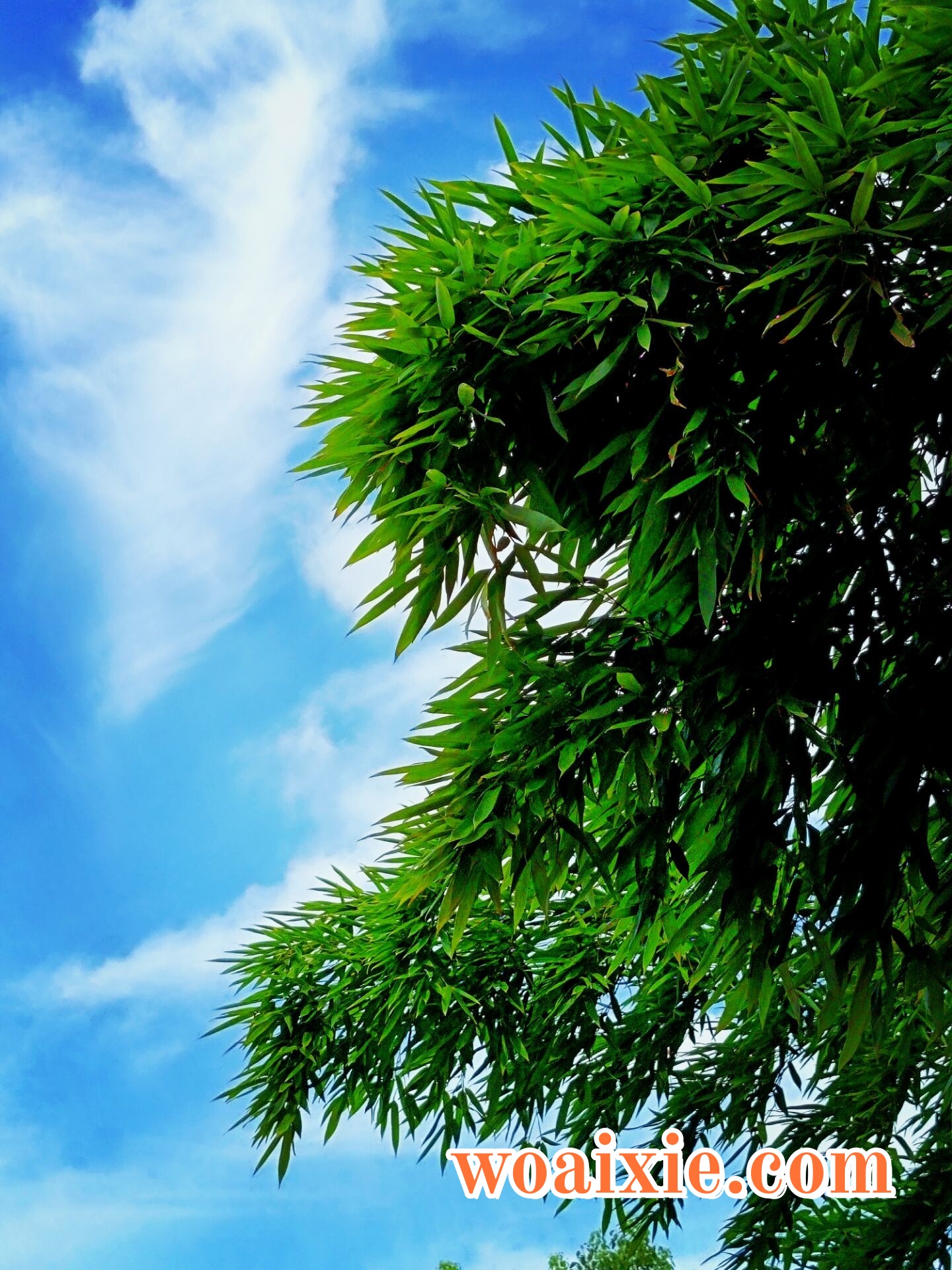 3D7BB44337B96400B98EE92AD53A1488