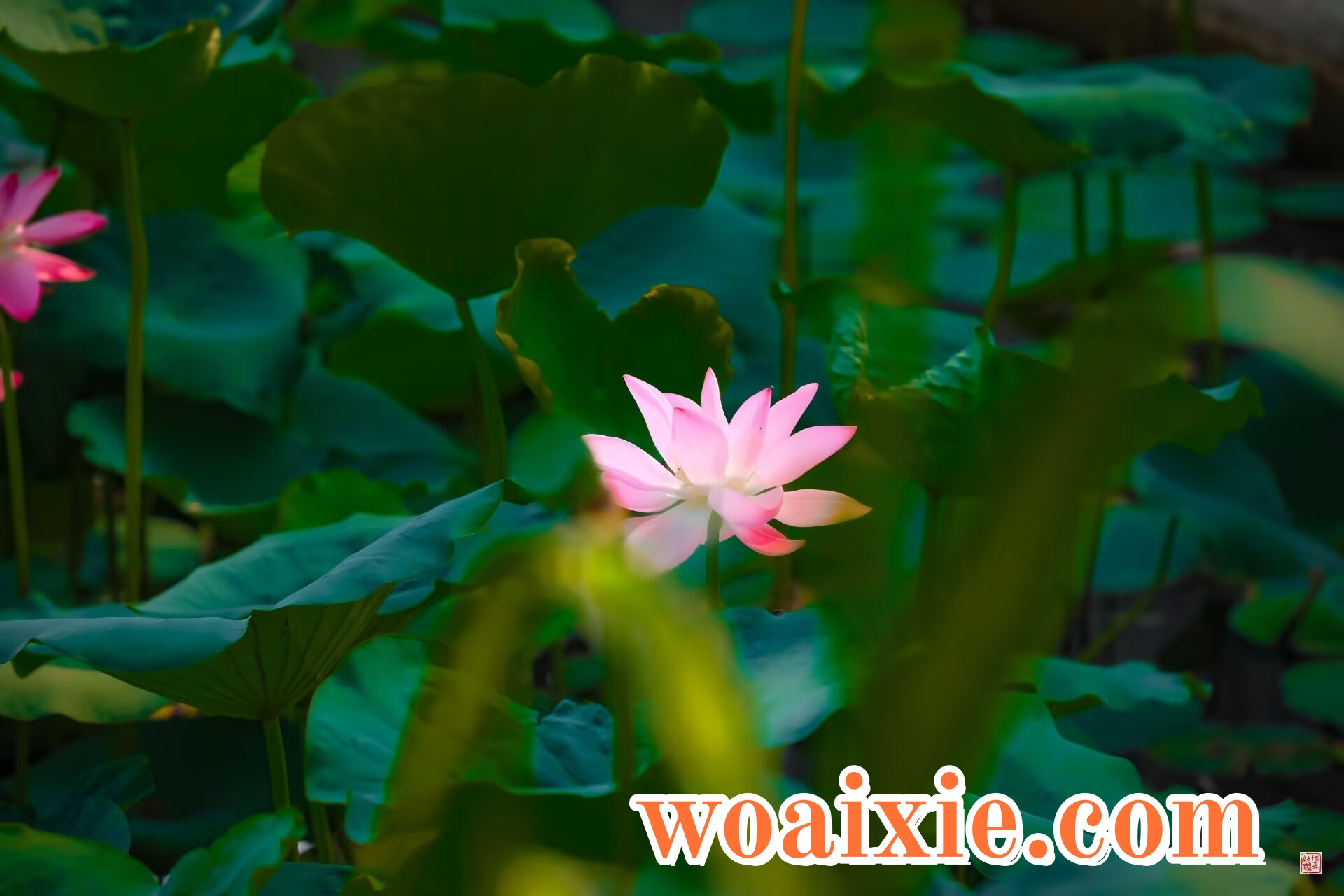 3DC937B41CEF5A7A3E32EC9BE22C8C65