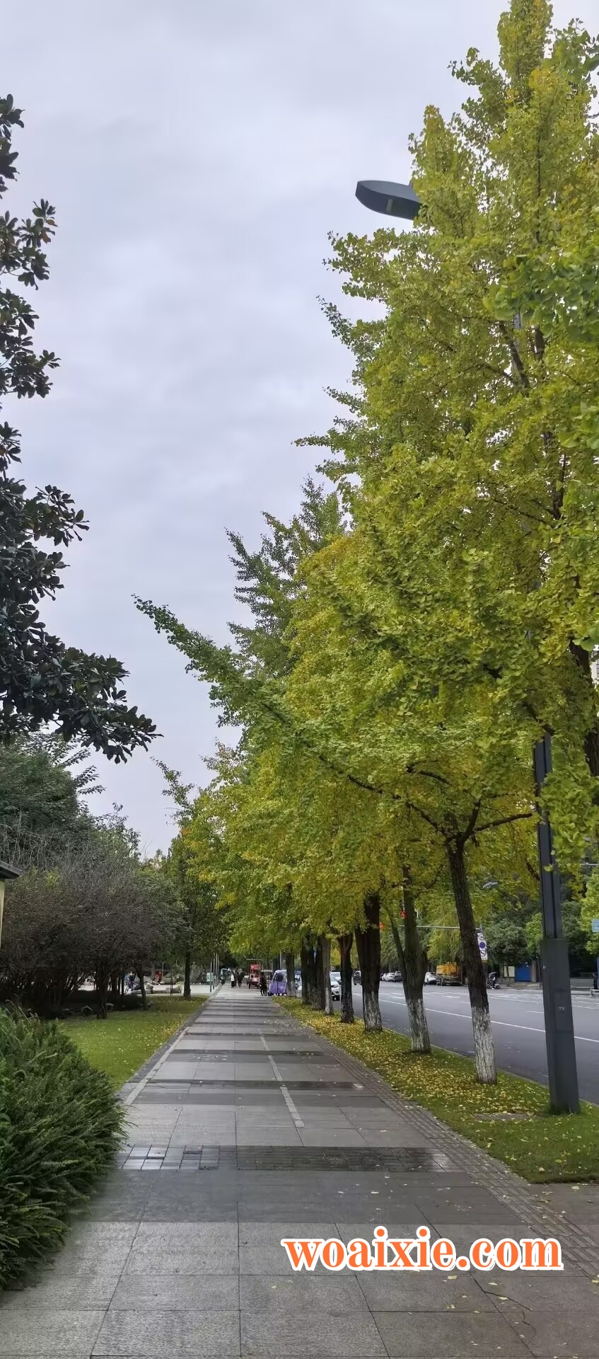 3DD9753A5137663C7AEF6C01B8CC6948