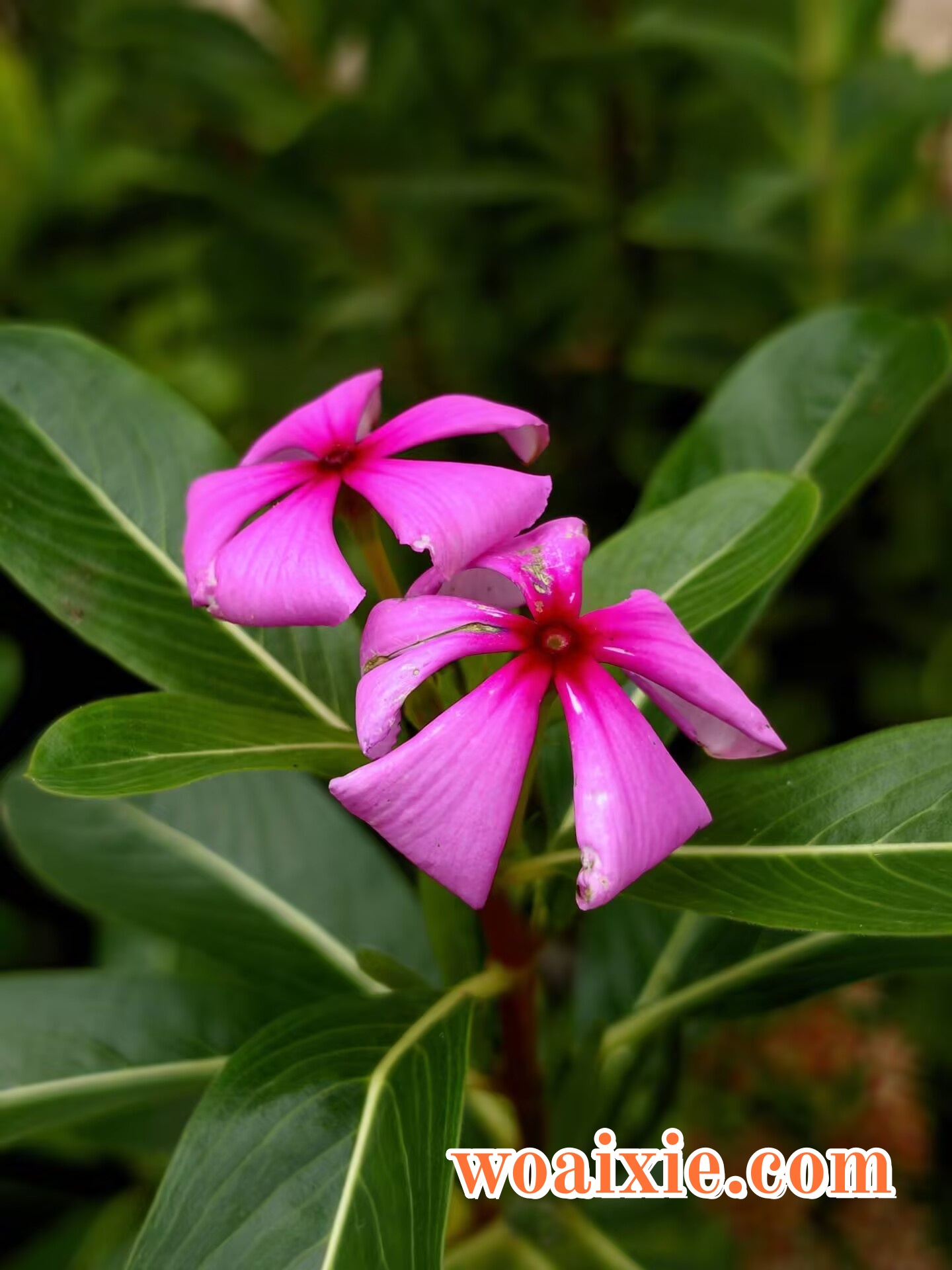 3E2EBD32272991BED4BF9037412E8283