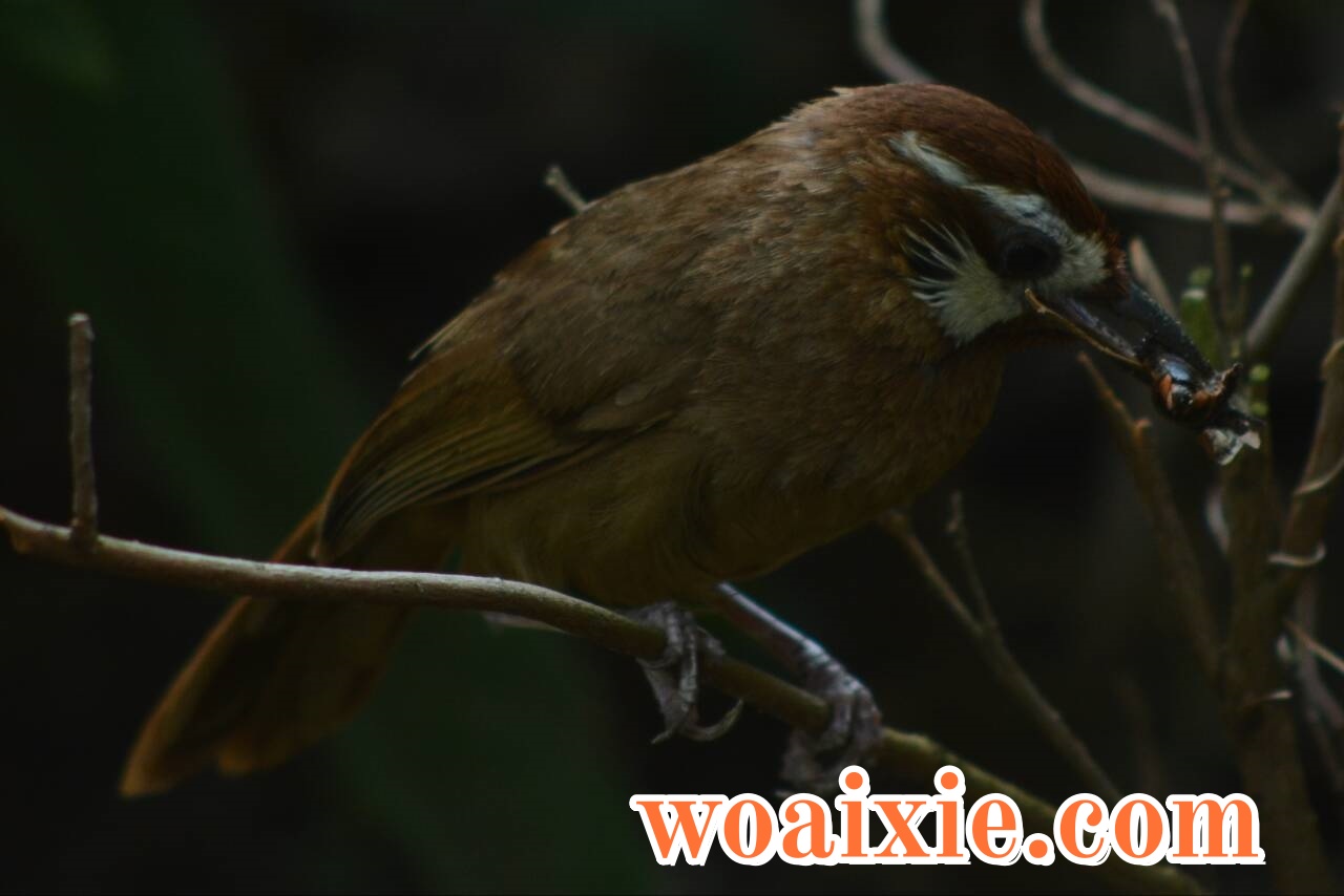 3E39B529383A04F0FBAB45159EDFA9B0