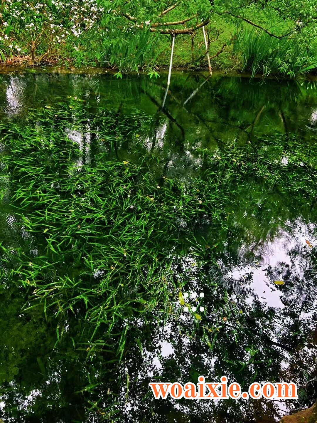 3E623A83A4362C65751344BC062C3FE3