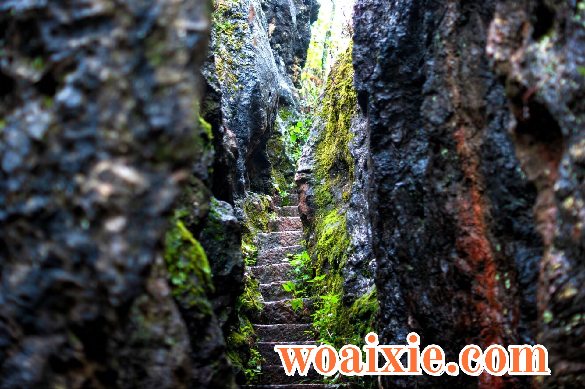 3E63F03B230982EBF0A683DC2A8F963B