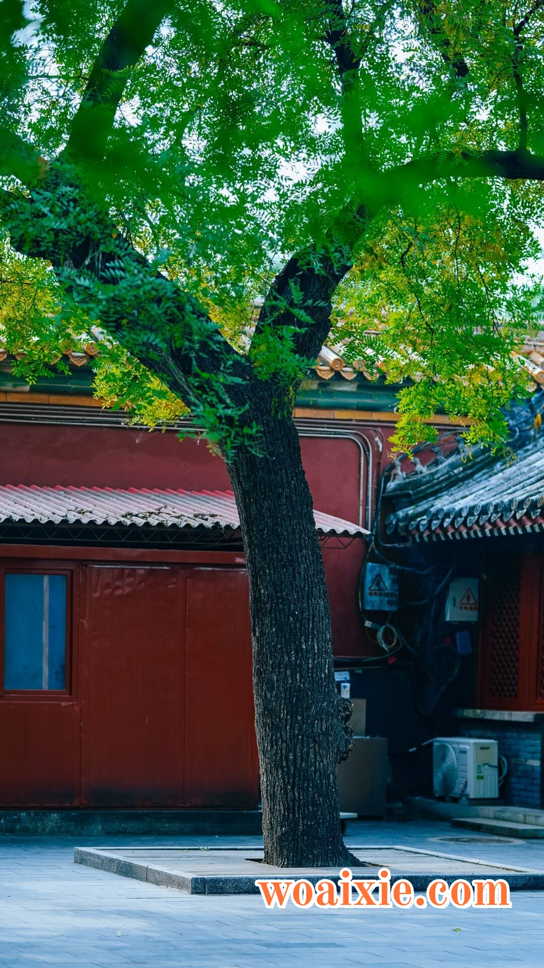 3EC025C4C456FDBE8F1EB8C1F8B3A70E