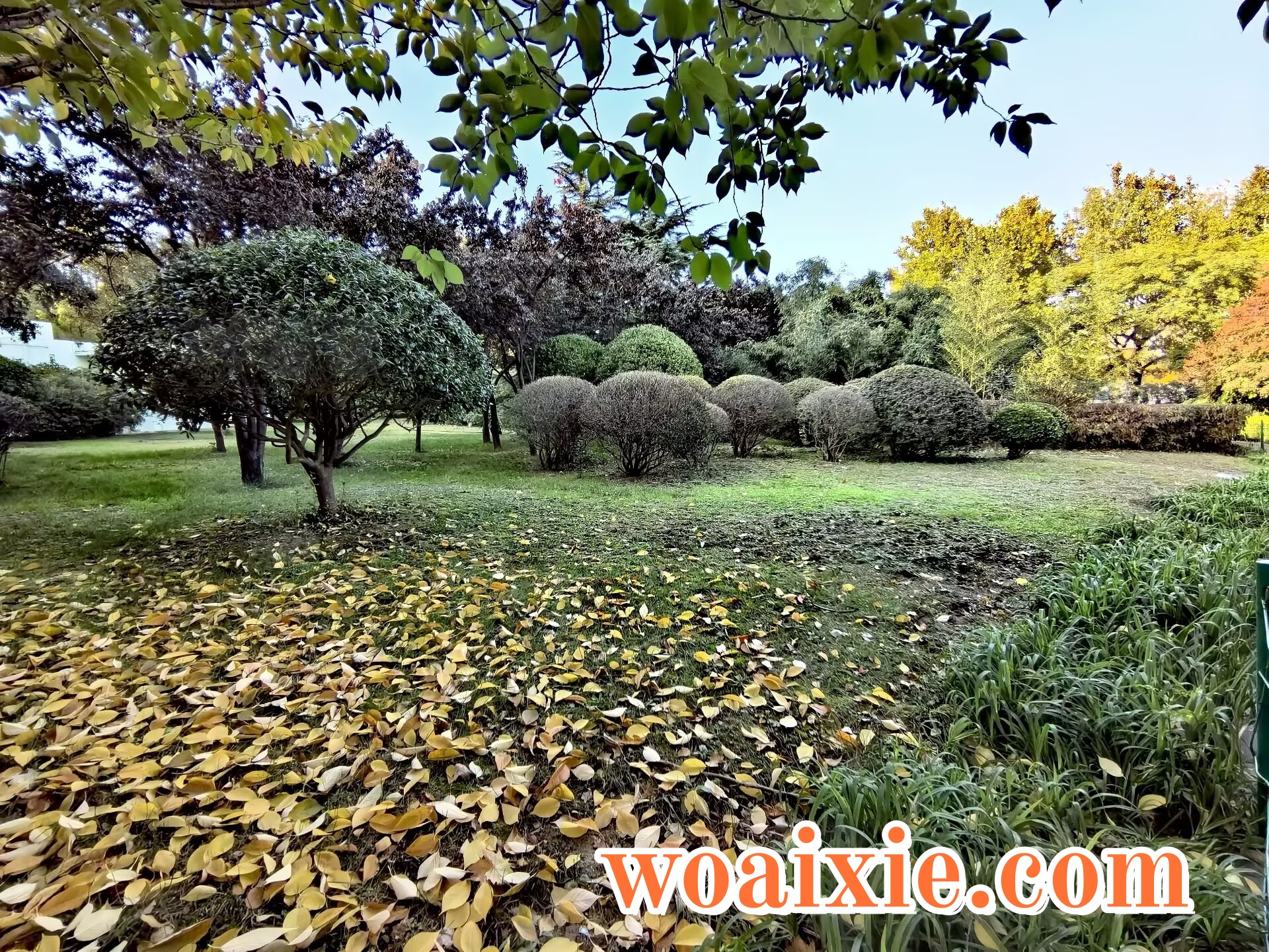 3EC2255D3CF336E7C6AFC04D8E1C5BCC