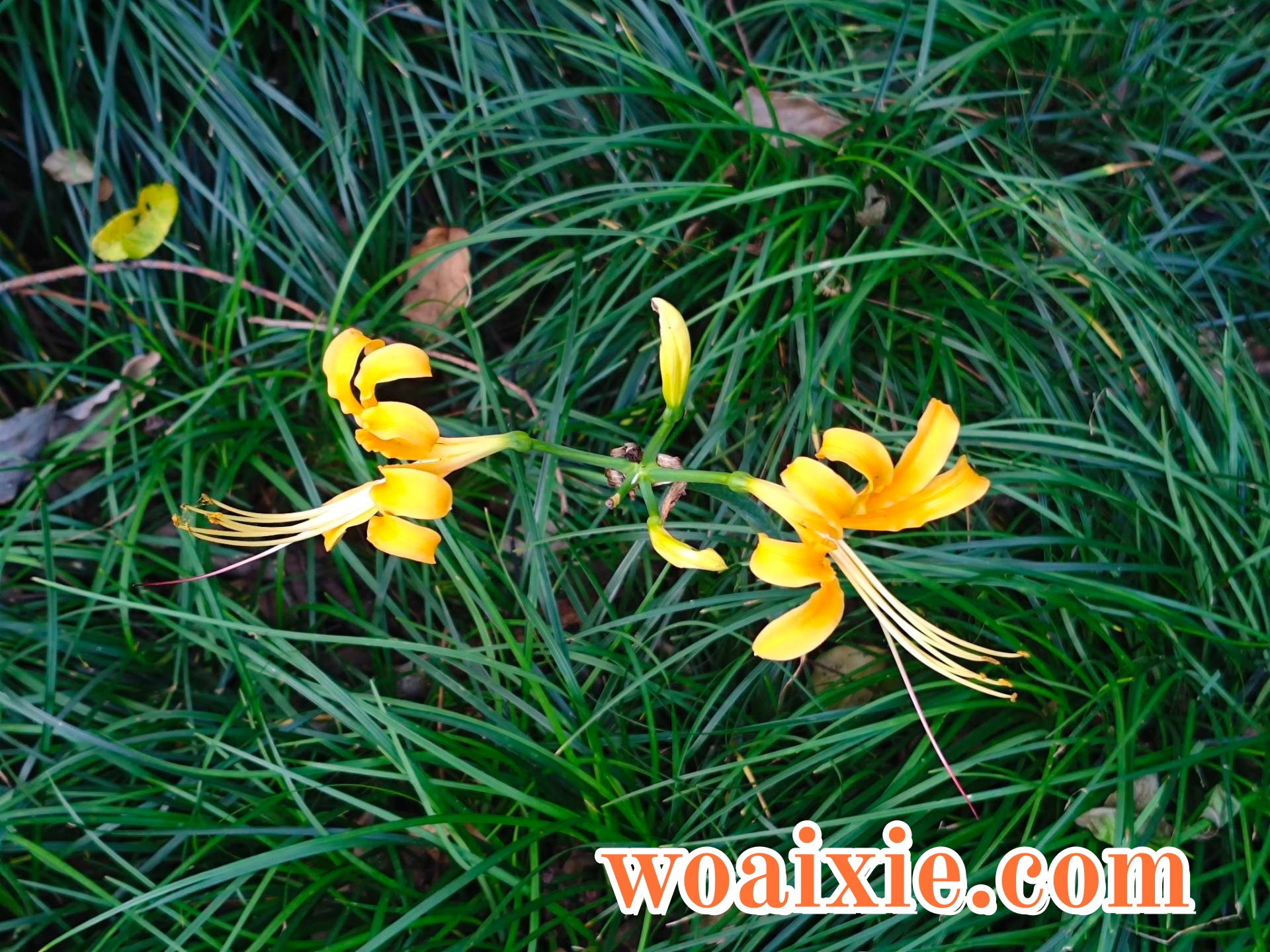 3EF06DE73F2D6187499F30E86F78DB98