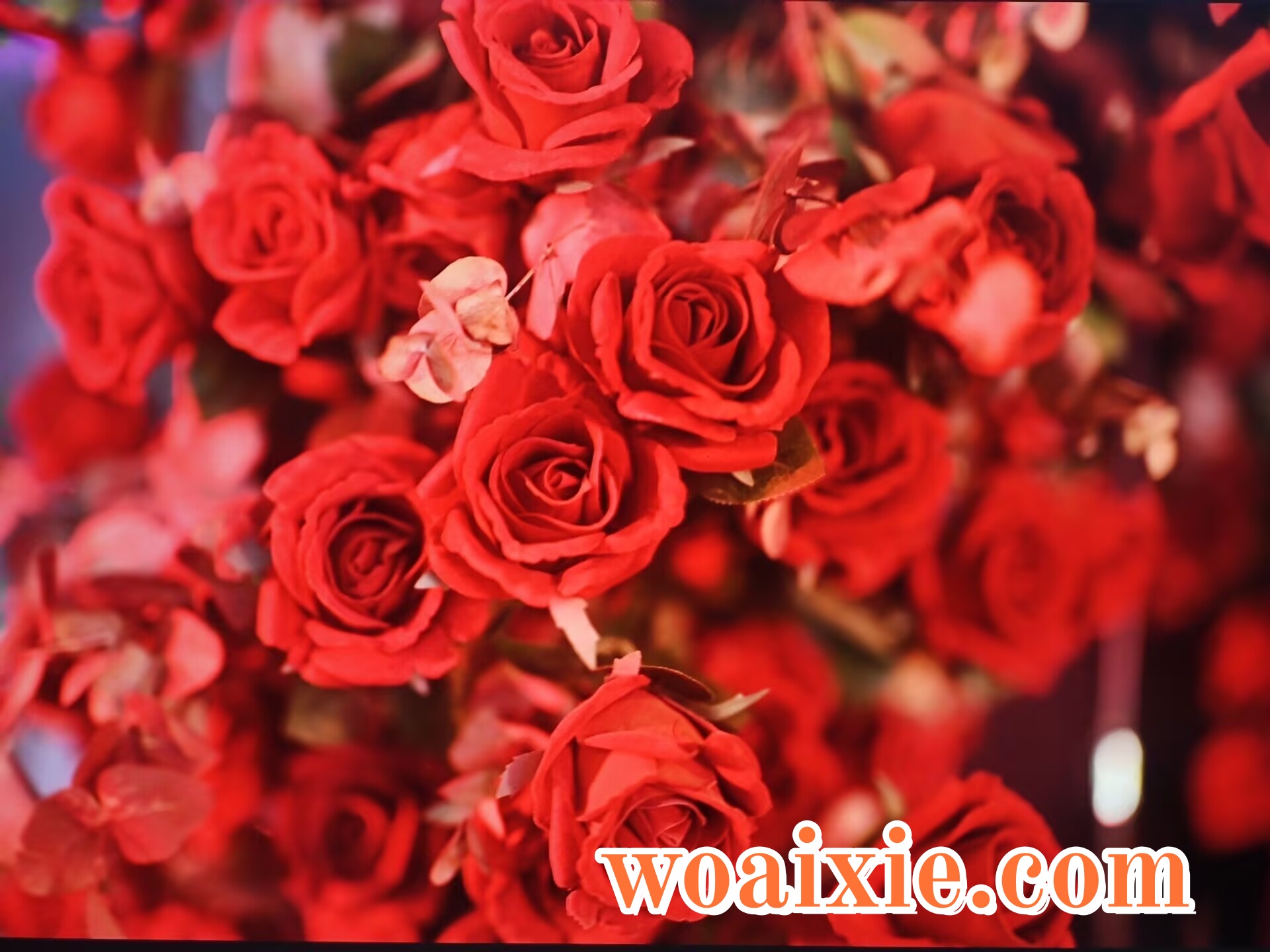 3F5B229E5A9C5F209D910EC93107BE0F