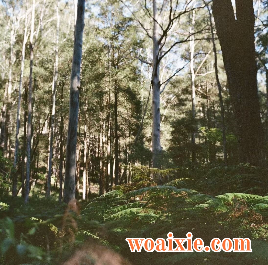 3F7C556ACFE285B51DACEAF66846F3E1