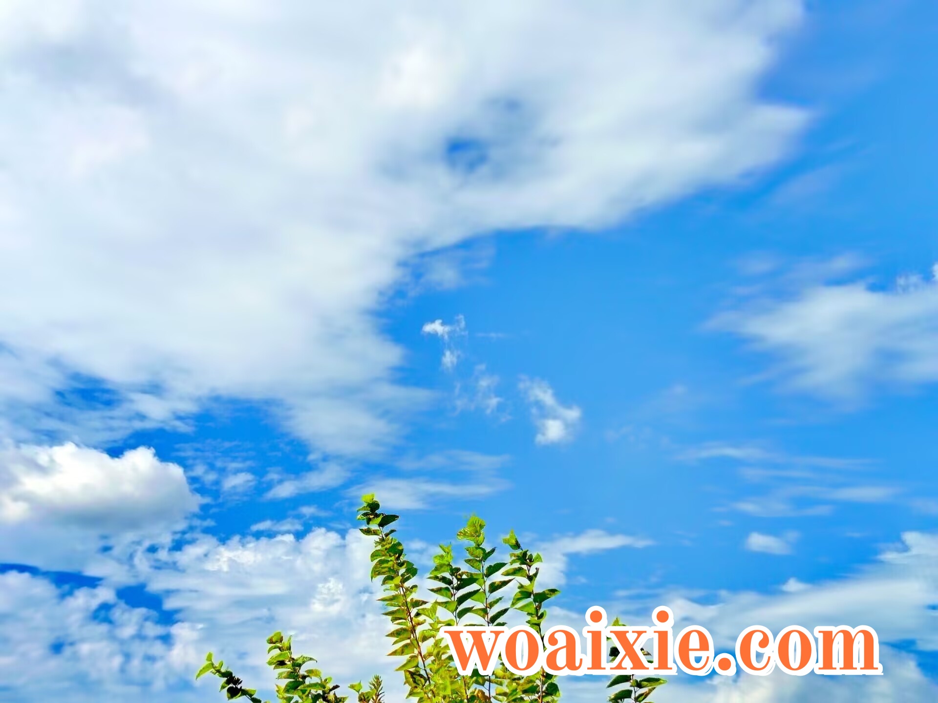 3F87B4EA6D288263B3A6D2F6F8F0CF31