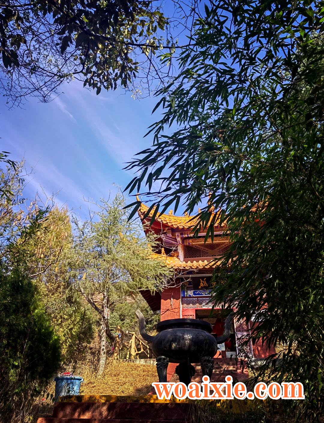 3ac79f3df8dcd100e349ec3acd58cd1eb8122f31