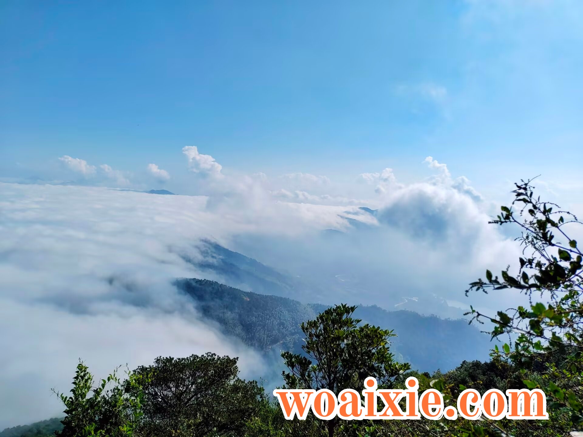 3ae2ee2e-3f0b-4e1c-9af8-b5b773e80ef6