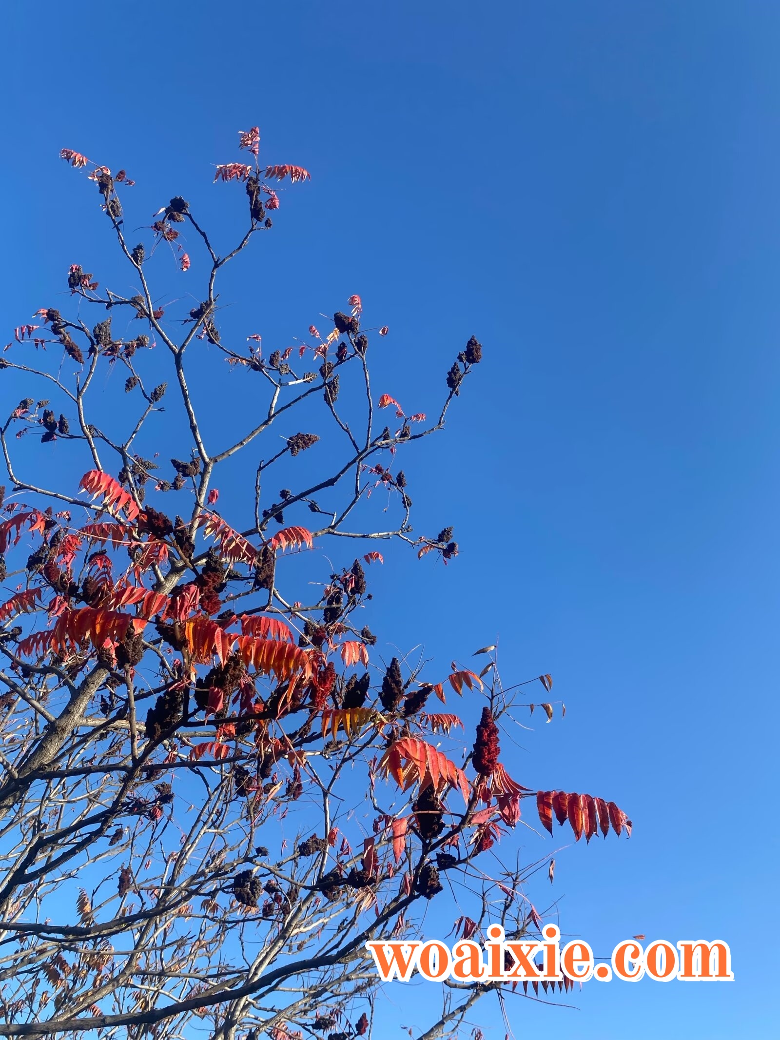 3b182382-25f3-4013-be11-4fb763d405b0