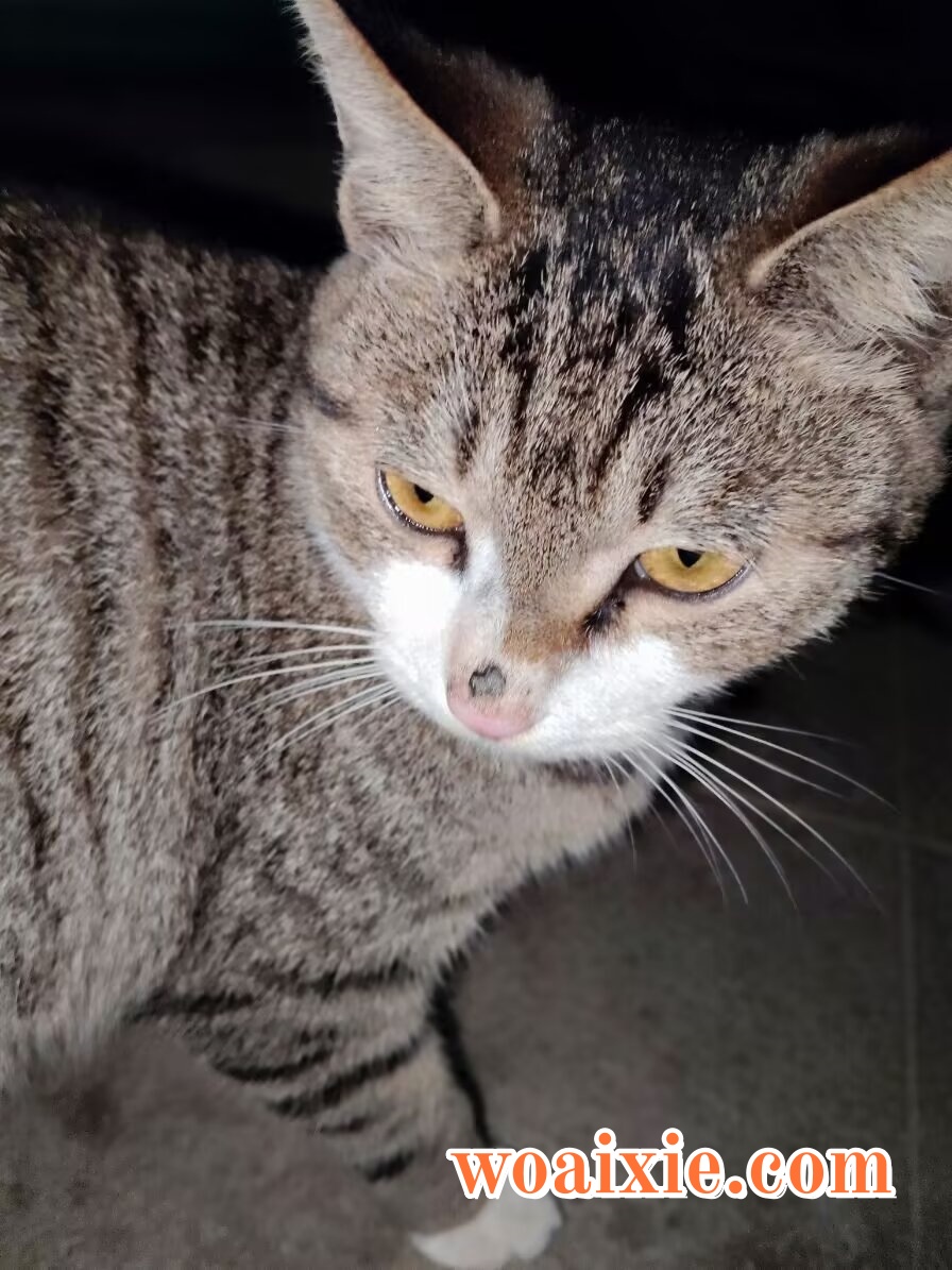 3bbf4f72-e501-4818-8696-c84292148d1a