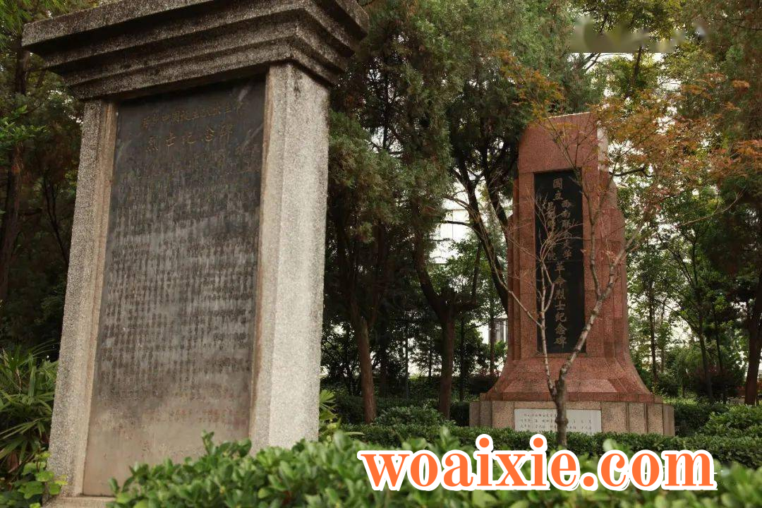 3bd3596426b24806a7471dae9bb0f26c