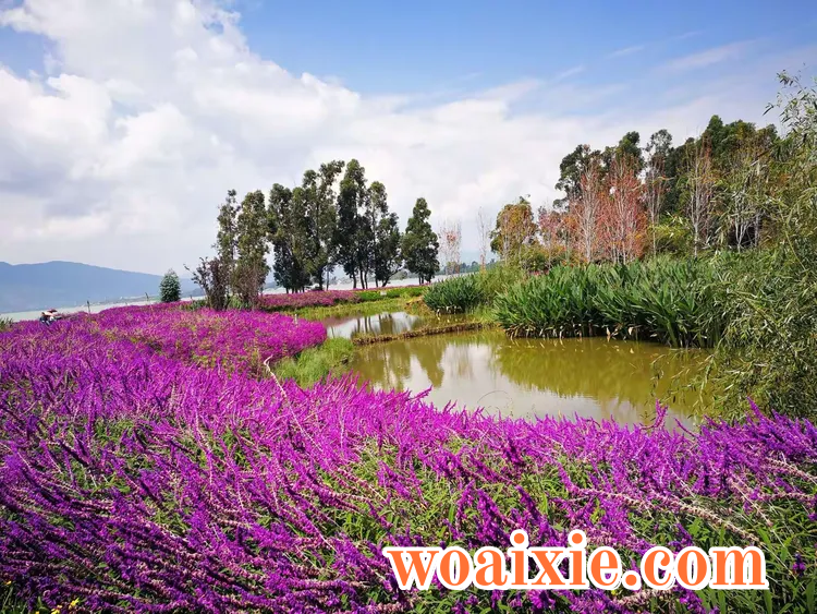 3c8e01d09b66cbbfbb5e9cb5d3f8a254__jpg.heic~tplv-s1ctq42ewb-s2-cC-q_750_0_0_0_q80