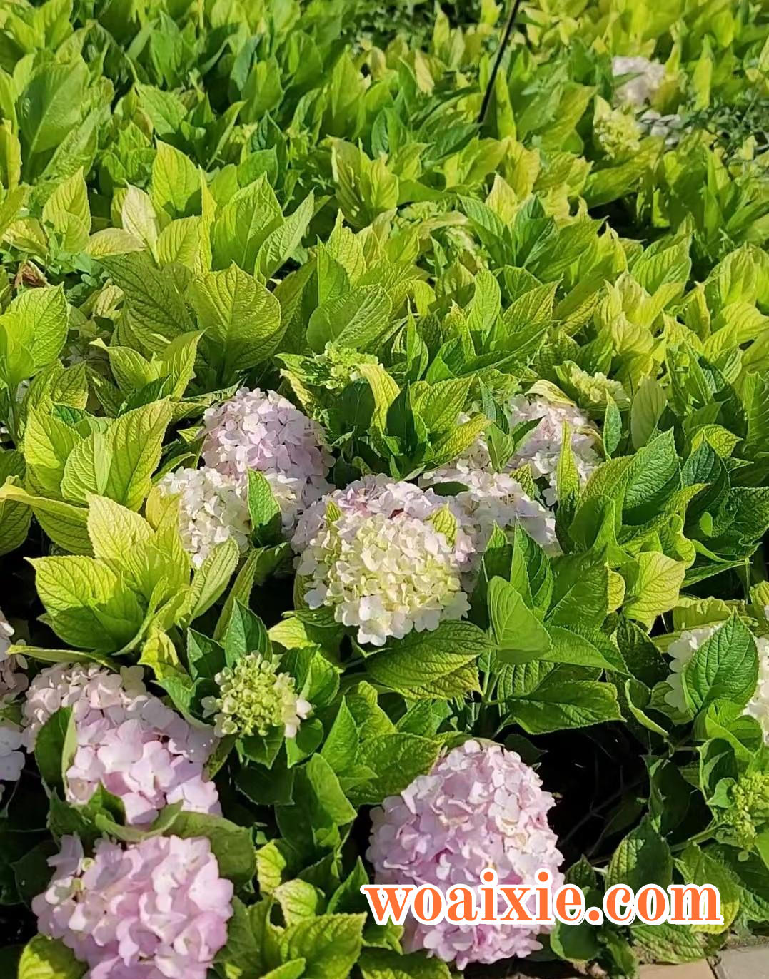 3ec092595dcf4c938b8ac104c6399f5f