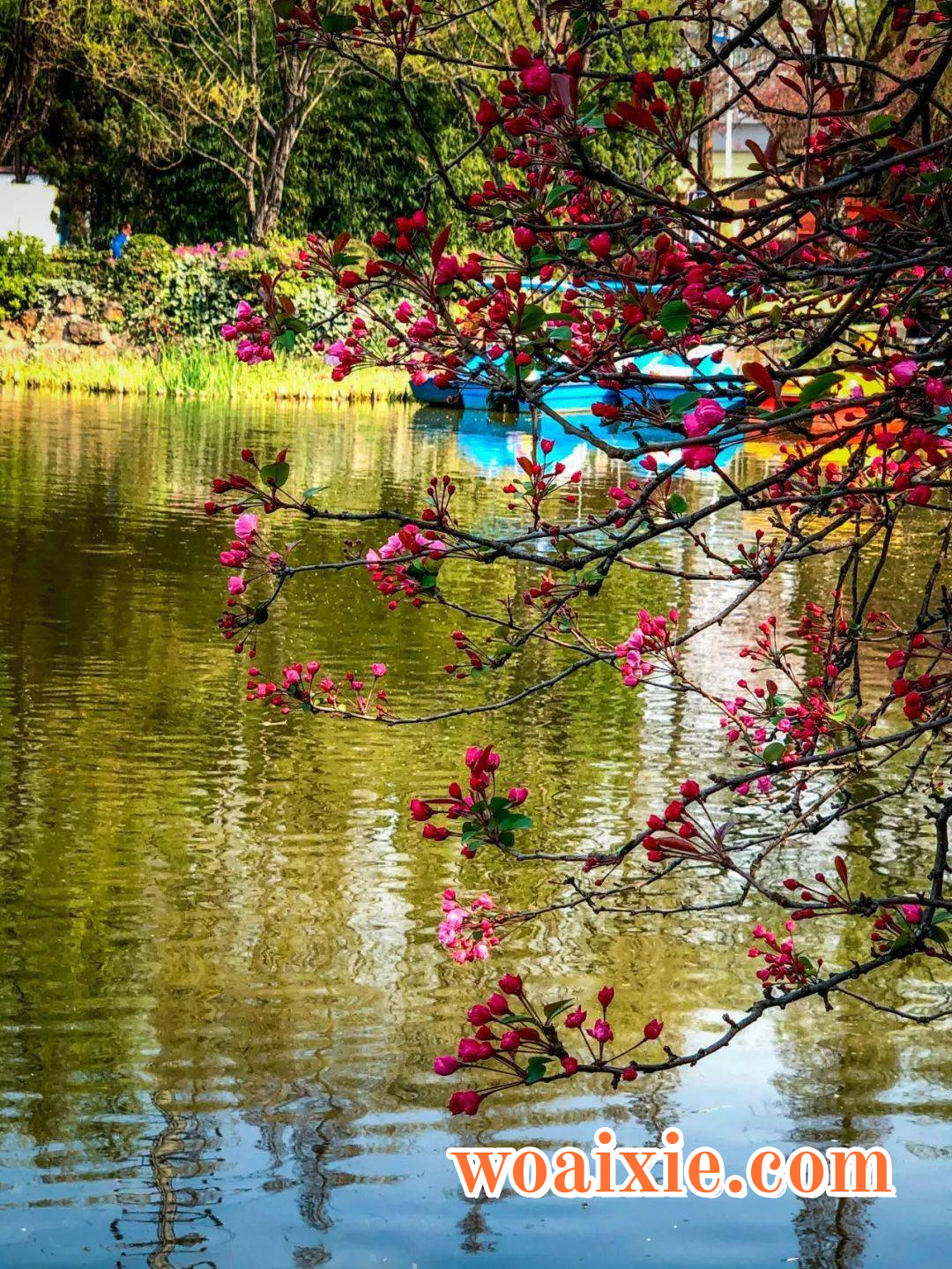 3ec130b0889e4d71ab3650a8626ef5a2