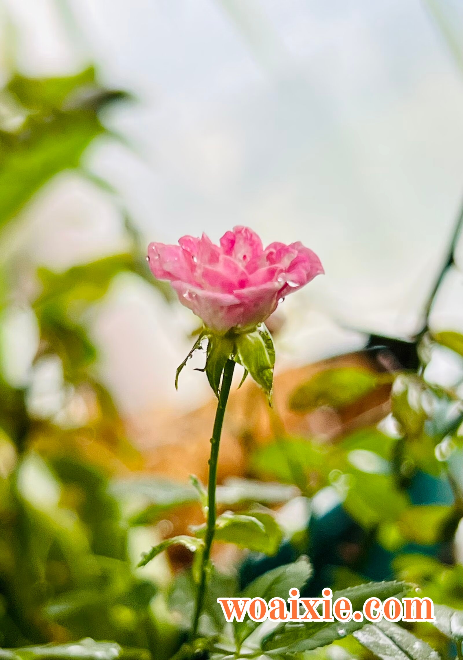 3f3214a029061e4d874719fd021bae1f