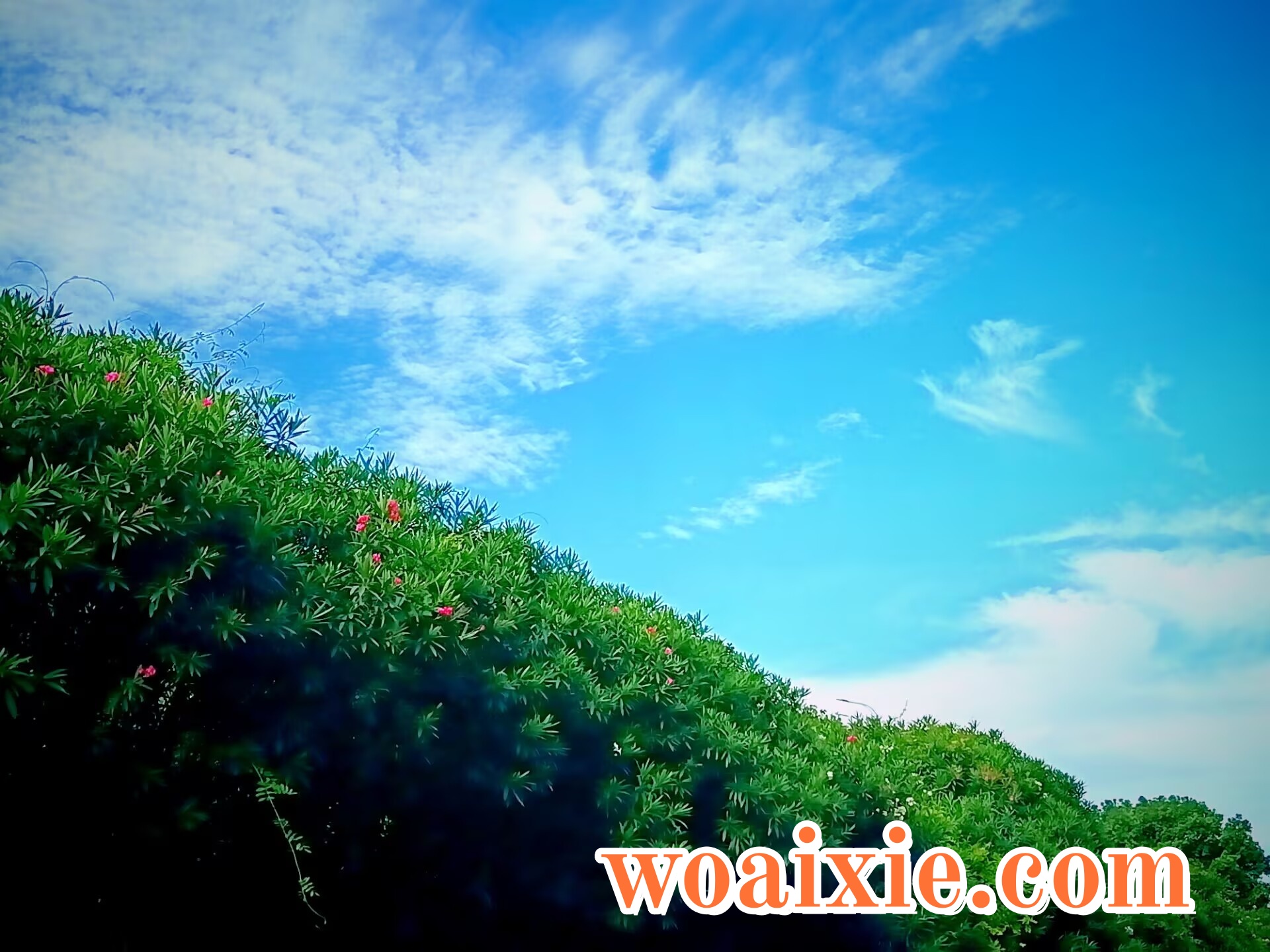 4BBBA7FC80F032771B7B0B9FA829CB42