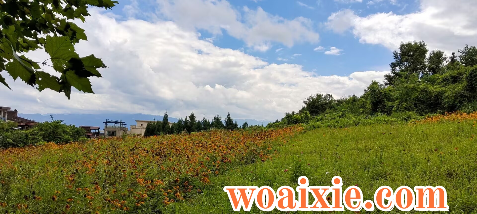 4C37A701E085B5027DFD246DEBB4BF1A