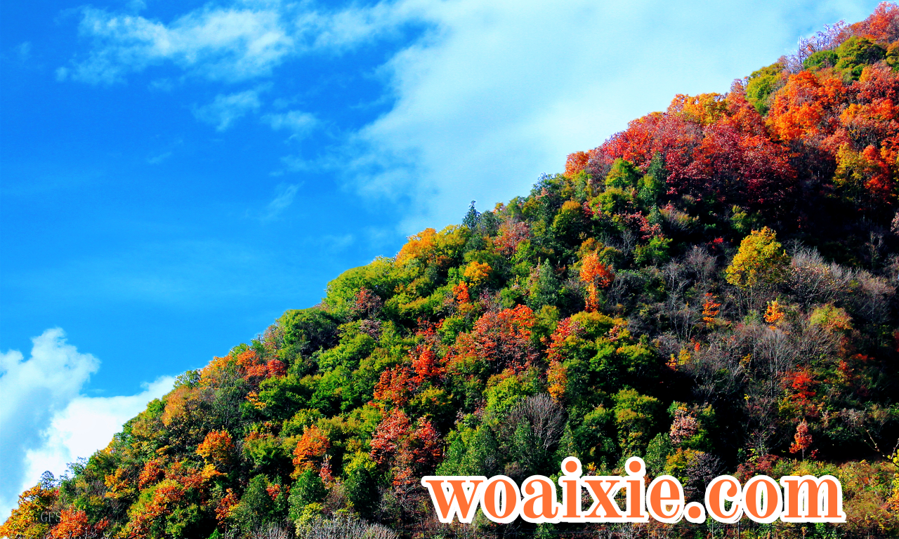 4C7AD1E5B96DC457ADE8C14E9B4A9D0F